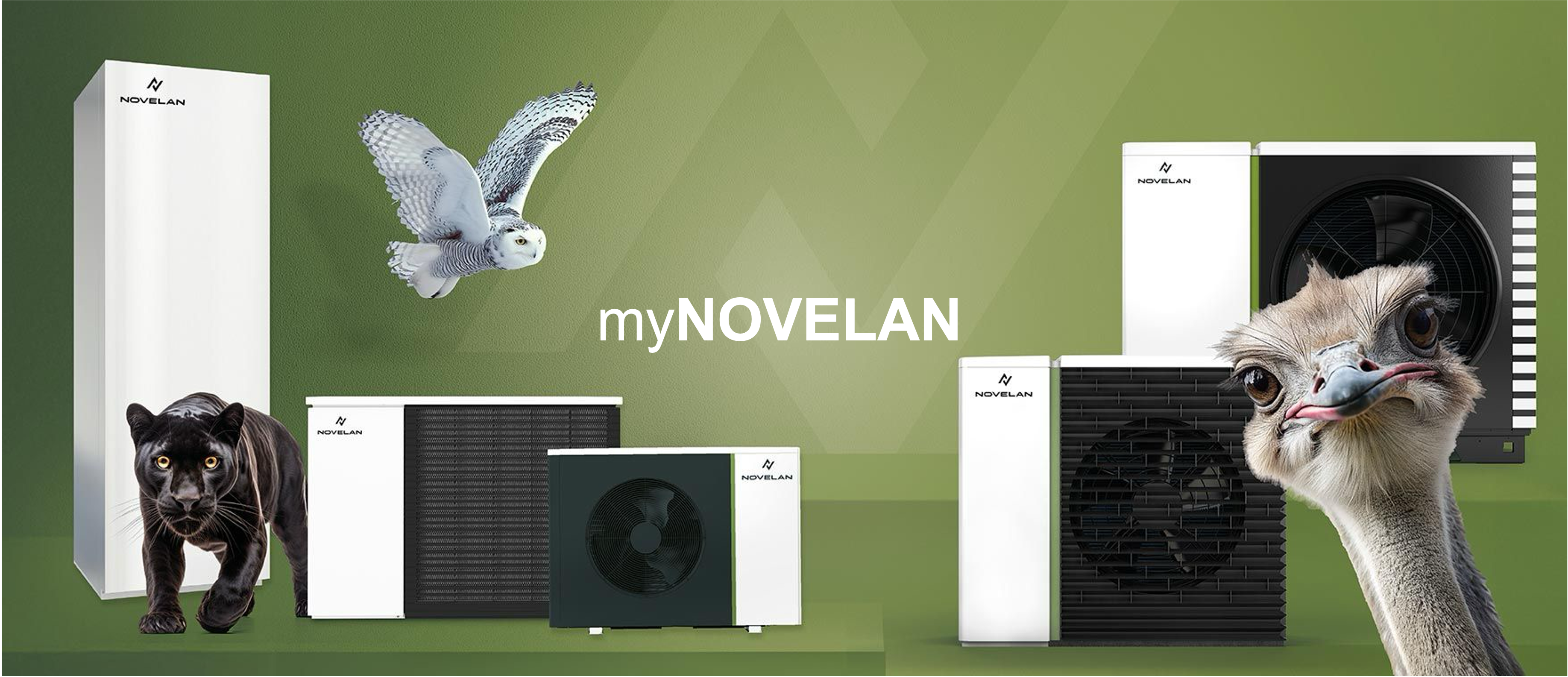 mynovelan.original